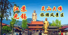 鸡巴操小穴视频软件在线江苏无锡灵山大佛旅游风景区